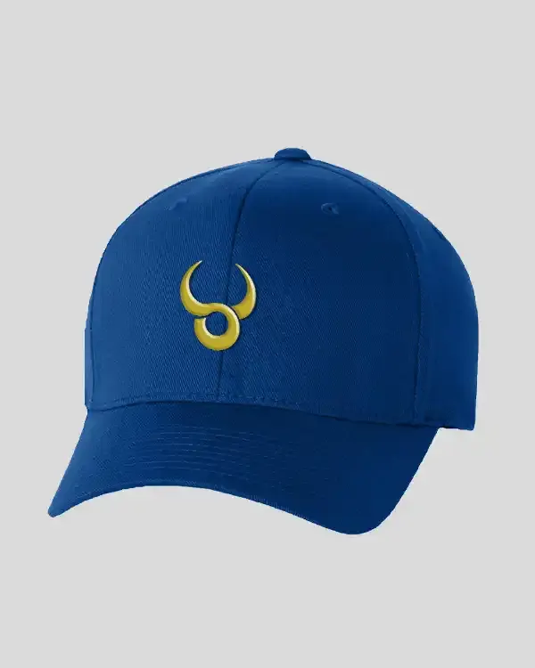 Unleashed Ideas Cap, cap by Bighornns