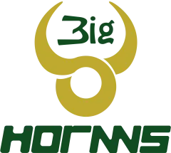 Bighornns